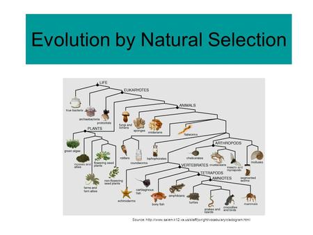 Evolution by Natural Selection Source: