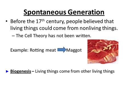 Spontaneous Generation Before the 17 th century, people believed that living things could come from nonliving things. – The Cell Theory has not been written.
