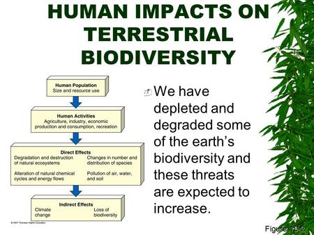 HUMAN IMPACTS ON TERRESTRIAL BIODIVERSITY