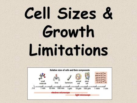 Cell Sizes & Growth Limitations