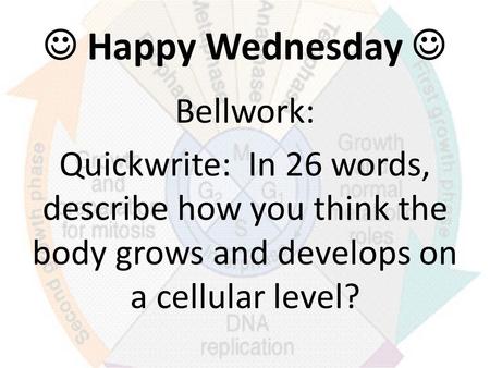 Happy Wednesday Bellwork: Quickwrite: In 26 words, describe how you think the body grows and develops on a cellular level?