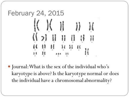 February 24, 2015 Journal: What is the sex of the individual who’s karyotype is above? Is the karyotype normal or does the individual have a chromosomal.