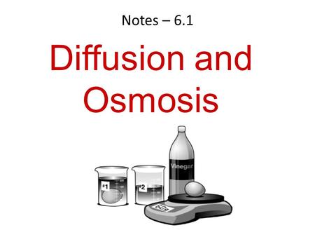 Notes – 6.1 Diffusion and Osmosis. 6.1 The Structure and Function of the Cell Membrane The cell membrane has many functions. – protection – obtaining.