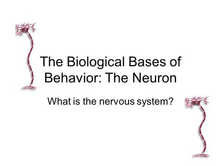The Biological Bases of Behavior: The Neuron What is the nervous system?