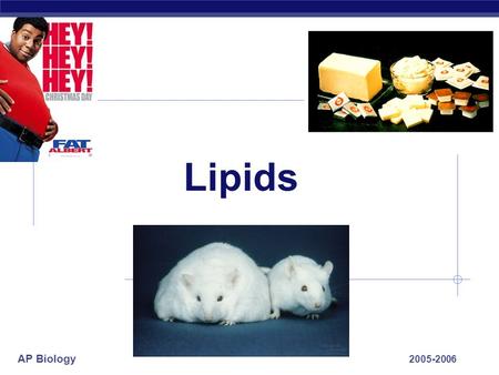 AP Biology 2005-2006 Lipids. AP Biology 2005-2006 Lipids  Lipids are composed of C, H, O  long hydrocarbon chain  Diverse group  fats  phospholipids.