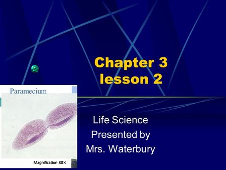 Chapter 3 lesson 2 Life Science Presented by Mrs. Waterbury Paramecium.
