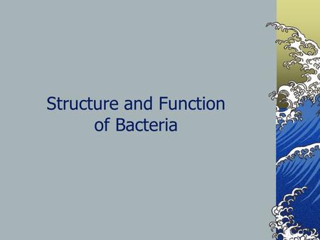 Structure and Function of Bacteria. Kingdom Archaebacteria Extreme environments Methanogens – Make methane gas, anerobic Halophiles – salt loving, use.