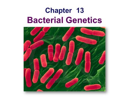Chapter 13 Bacterial Genetics Why study bacterial genetics? Its an easy place to start  history  we know more about it systems better understood 