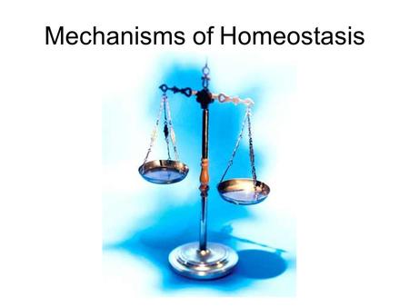 Mechanisms of Homeostasis Homeostasis Process where the body maintains a constant internal environment Reactions & enzymes work best in specific conditions.