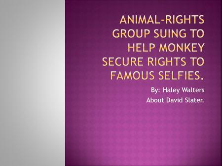 By: Haley Walters About David Slater..  Opinion: I think monkeys should be able to own there own selfies/pictures.  Fact: The photos were taken in 2011.