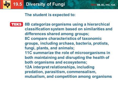 19.5 Diversity of Fungi TEKS 8B, 8C, 11C, 12A The student is expected to: 8B categorize organisms using a hierarchical classification system based on similarities.