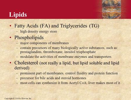 Copyright © 2006 by Elsevier, Inc. Lipids Fatty Acids (FA) and Triglycerides (TG) –high density energy store Phospholipids –major components of membranes.