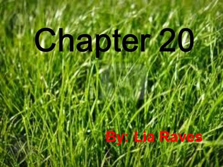 Chapter 20 By: Lia Raves. Symbolism “Wh– oh yes, you mean why do I pretend? Well, its very simple,” he said. “Some folks don’t—like the way I live. Now.