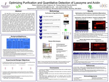 Optimizing Purification and Quantitative Detection of Lysozyme and Avidin Tatiana Soboleva, Ryan Colakovic, Dr. Theresa Salerno (Faculty Mentor)