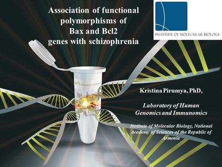 Association of functional polymorphisms of Bax and Bcl2 genes with schizophrenia Kristina Pirumya, PhD, Laboratory of Human Genomics and Immunomics Institute.