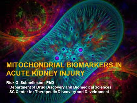 MITOCHONDRIAL BIOMARKERS IN ACUTE KIDNEY INJURY Rick G. Schnellmann, PhD Department of Drug Discovery and Biomedical Sciences SC Center for Therapeutic.