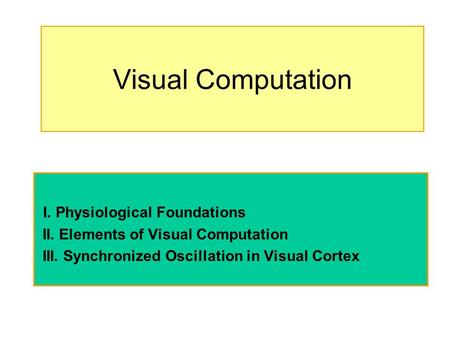 Visual Computation I. Physiological Foundations