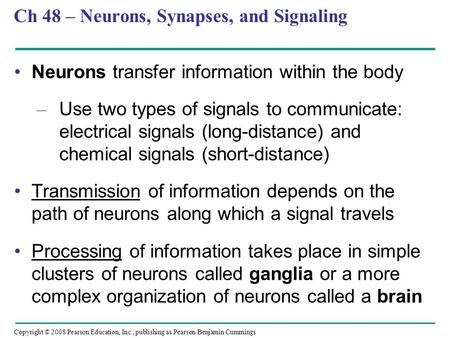 Copyright © 2008 Pearson Education, Inc., publishing as Pearson Benjamin Cummings Ch 48 – Neurons, Synapses, and Signaling Neurons transfer information.