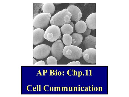 AP Bio: Chp.11 Cell Communication.