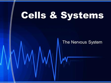 Cells & Systems The Nervous System. The system that constantly monitors and responds the stimuli (stimulus) around you … Stimuli your body can respond.
