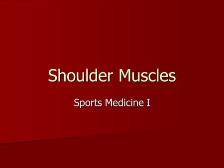 Shoulder Muscles Sports Medicine I.