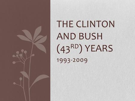 1993-2009 THE CLINTON AND BUSH (43 RD ) YEARS. Standards SSUSH25 The student will describe changes in national politics since 1968. e. Explain the relationship.