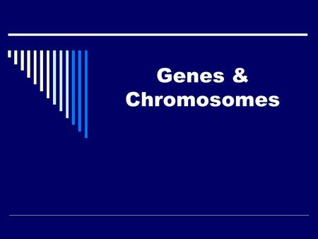 Genes & Chromosomes. Chromosome Theory of Heredity  The factors (genes) that affect the expression of traits are found on chromosomes.  The chromosome.