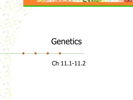 Genetics Ch 11.1-11.2 Genetics and Mendel! Video Video Mendel (b. 1822) in Czech Republic, moved to Vienna, Austria Worked as a monk and a HS teacher,
