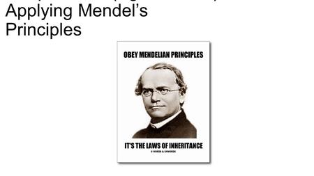 Chapter 11.2 (Pg. 313-318): Applying Mendel’s Principles.