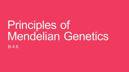 Principles of Mendelian Genetics B-4.6. Principles of Mendelian Genetics Genetics is the study of patterns of inheritance and variations in organisms.