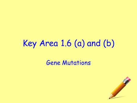 Key Area 1.6 (a) and (b) Gene Mutations. Learning Outcomes.