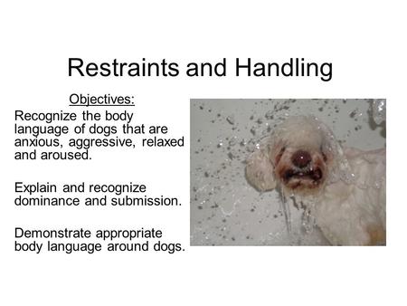 Restraints and Handling Objectives: Recognize the body language of dogs that are anxious, aggressive, relaxed and aroused. Explain and recognize dominance.