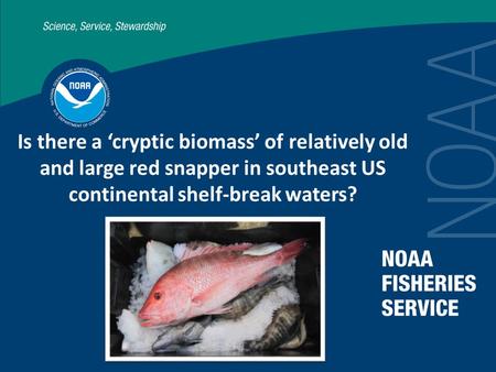 Is there a ‘cryptic biomass’ of relatively old and large red snapper in southeast US continental shelf-break waters?