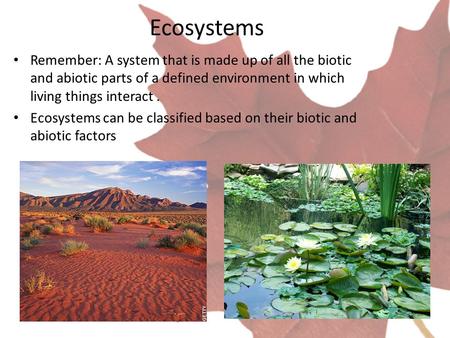 Ecosystems Remember: A system that is made up of all the biotic and abiotic parts of a defined environment in which living things interact. Ecosystems.