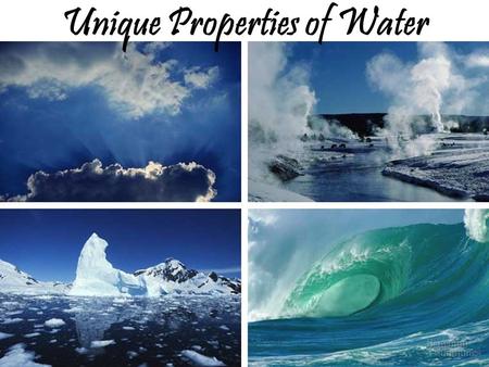 Unique Properties of Water