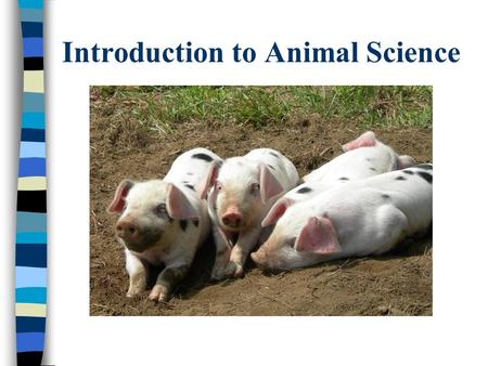 Introduction to Animal Science. SCIENCE n a process through which nature is STUDIED, DISCOVERED, and UNDERSTOOD.