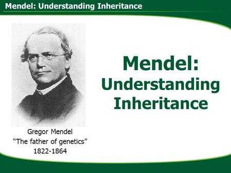Mendel: Understanding Inheritance Gregor Mendel “The father of genetics” 1822-1864.