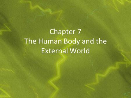 Chapter 7 The Human Body and the External World. The Nervous System.