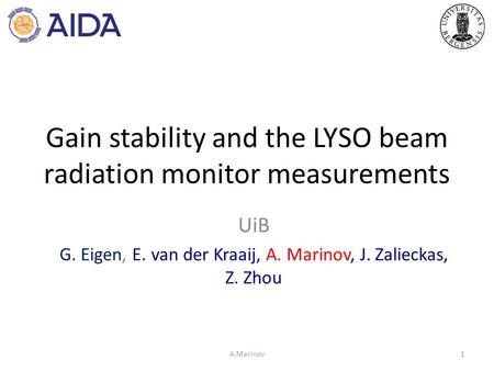 Gain stability and the LYSO beam radiation monitor measurements