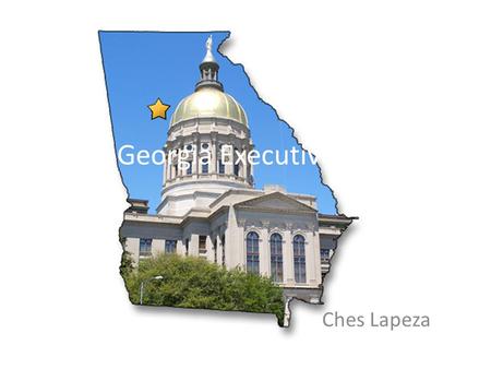 The Georgia Executive Branch Ches Lapeza. Executive Branch This branch’s primary purpose is to enforce laws and govern the state. This branch has eight.