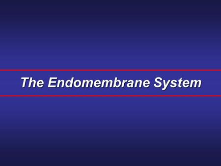 The Endomembrane System. A series of membranes found in the interior of a eukaryotic cell. It divides the cell into compartments, channels the passage.