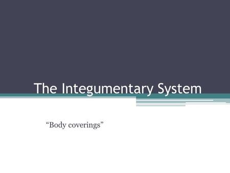 The Integumentary System “Body coverings”. Parts of the system 1.Skin 2.Hair 3.Nails.