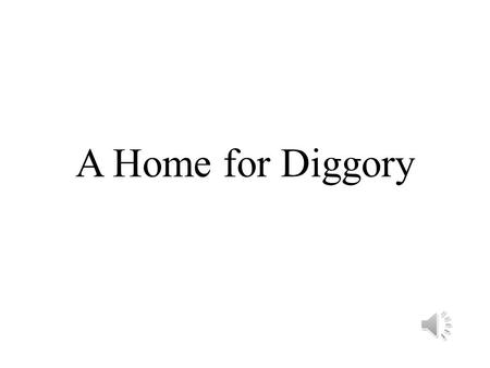 A Home for Diggory Contents 1.No Home for Diggory 2.The File Star 3.Little Miss Spoiled 4.The Runner 5.Big Mac.