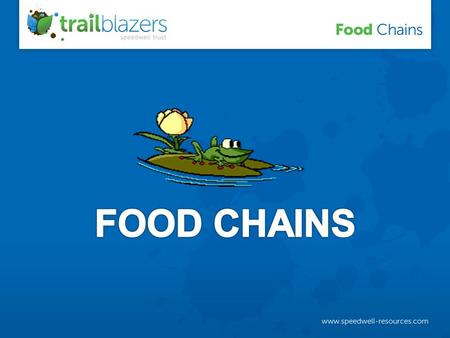 A food chain tells us what is eaten by what in an ecosystem.