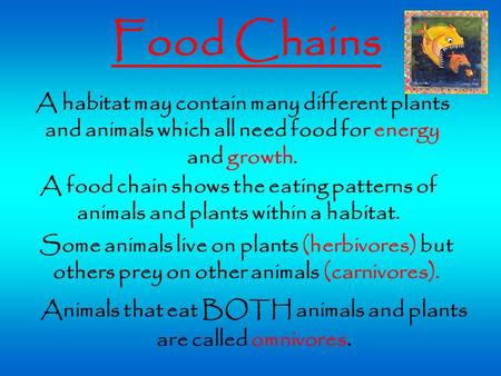 Animals that eat BOTH animals and plants are called omnivores.
