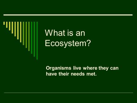 What is an Ecosystem? Organisms live where they can have their needs met.