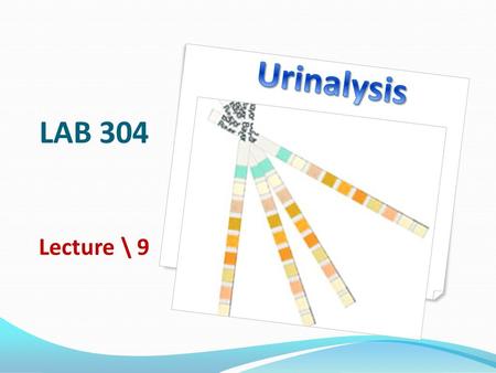 LAB 304 Lecture \ 9. Learning objectives To recognize urinalysis procedures: Physical Chemical Microscopic List some of urine crystals List some of urine.
