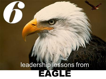 leadership lessons from EAGLE