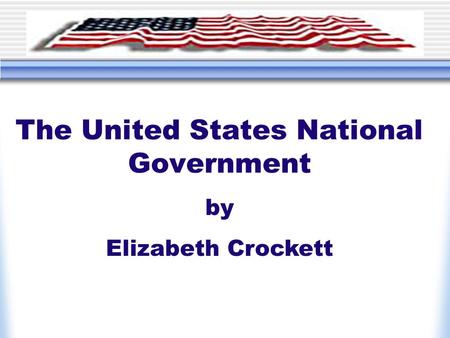 The United States National Government by Elizabeth Crockett.