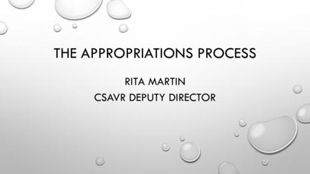 THE APPROPRIATIONS PROCESS RITA MARTIN CSAVR DEPUTY DIRECTOR.